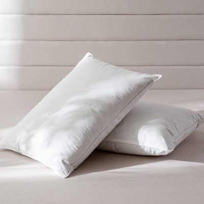 Luxury Feathers Down Pillows Queen Size Set of 2, Hotel Quality Fluffy Bed Pillows, Soft Pillows for Sleeping, Organic Cotton Cover(20x28”, Pack of 2)